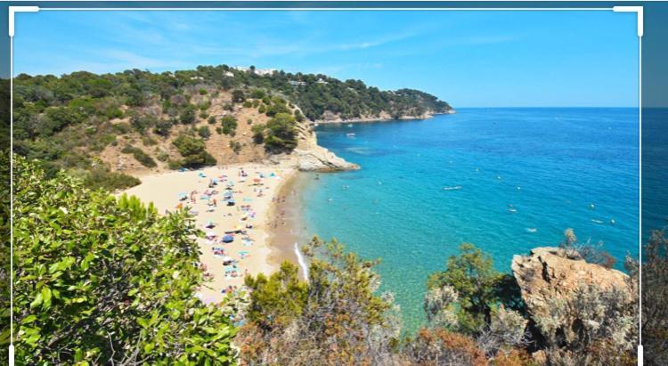 Cavalaire Vue Mer Au Loin Maisonnette Tout Equipee Pour 4 Personnes Avec Piscine Clim Wifi Velos Tv Barbecues Bagian luar foto
